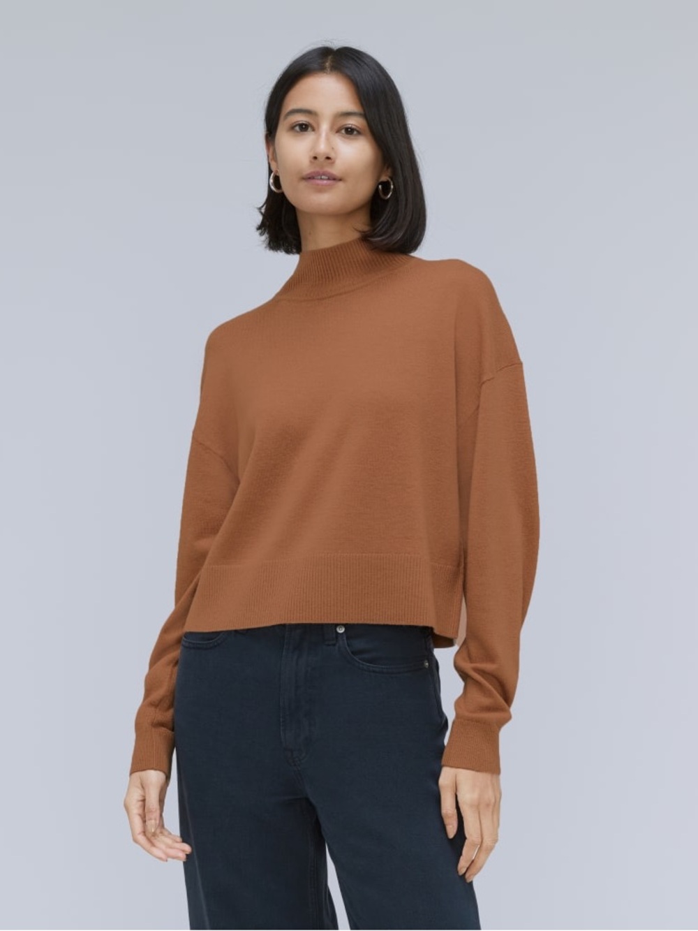 Everlane The Luxe Merino Turtleneck Brown Sweater, Wool & Yak Hair Blend Sweater